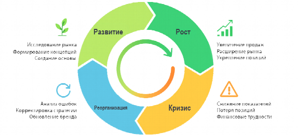 Система управления жизненным циклом организации