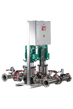 GFPX59